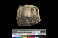 藏品(砂岩)的圖片